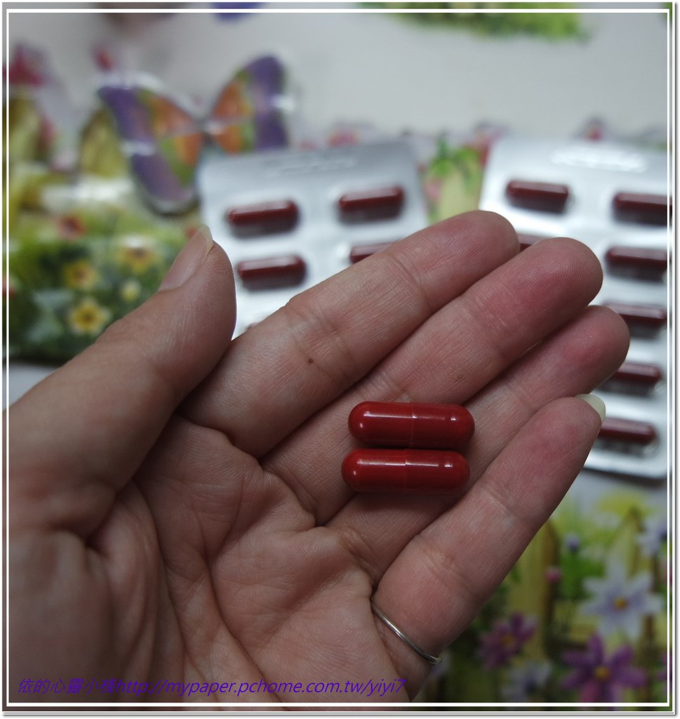 倍爾麗LETOUT蓓纖窈