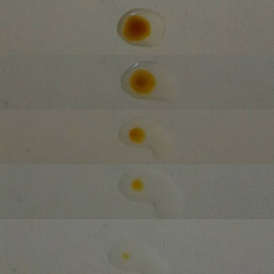  CENLIS聖黎詩淨白無瑕精華液