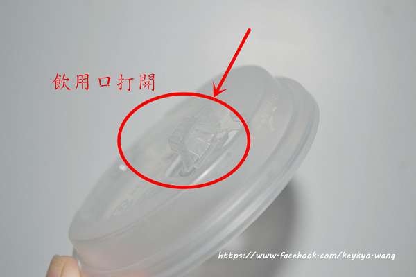 DSC_8018.JPG - 女人知已