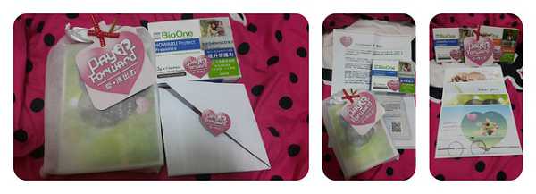 BioOne碧而優益生菌