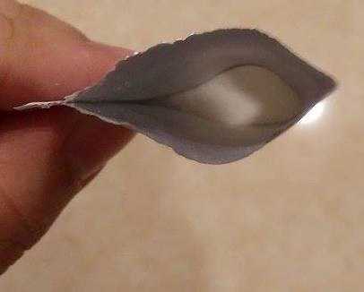 BioOne碧而優益生菌