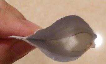 BioOne碧而優益生菌