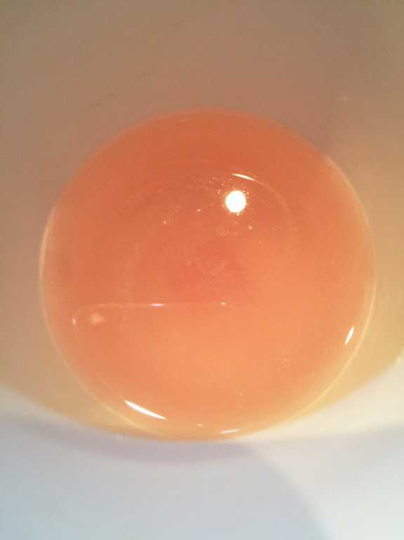 Kinohimitsu擊黑素