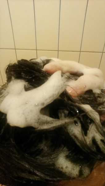 CosNature有機洗髮精