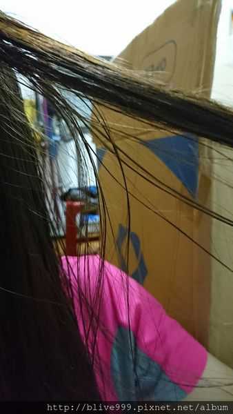 CosNature有機洗髮精