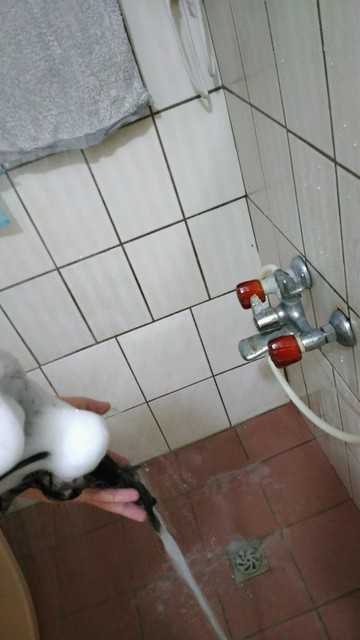 CosNature有機洗髮精