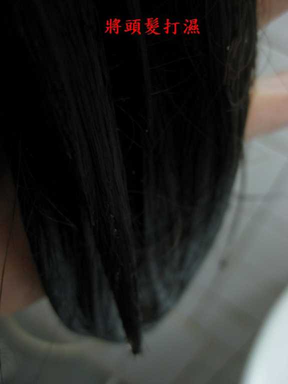 CosNature有機洗髮精