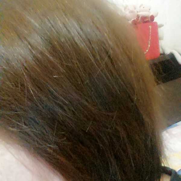 CosNature有機洗髮精