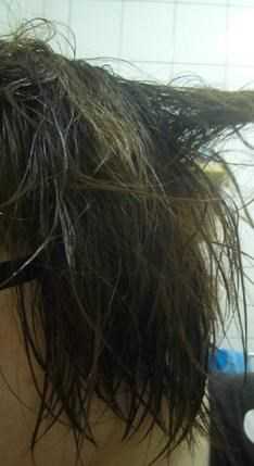 CosNature有機洗髮精