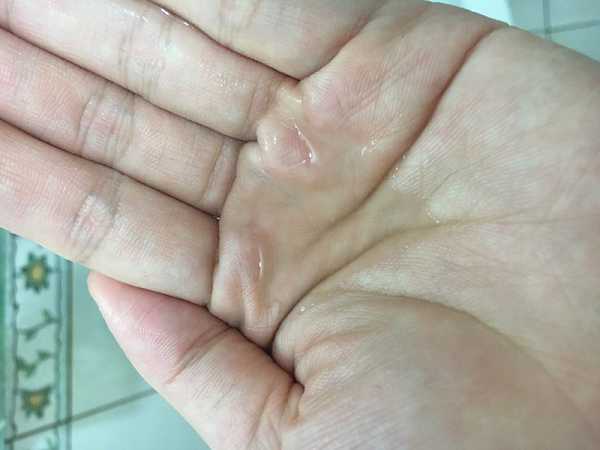 CosNature有機洗髮精