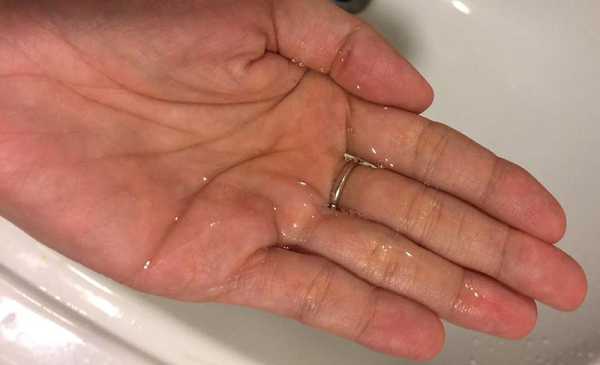 CosNature有機洗髮精