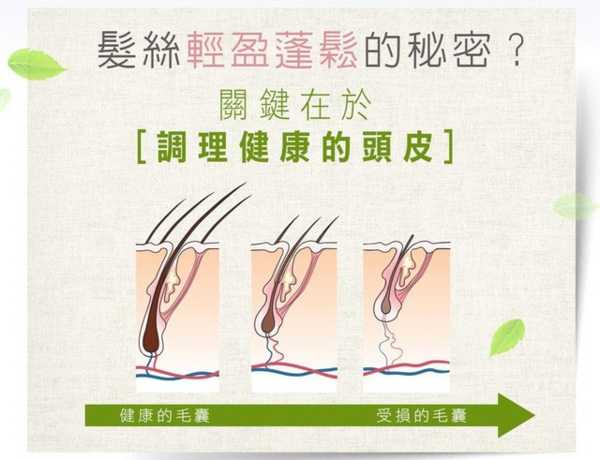 CosNature有機洗髮精