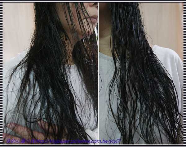 CosNature有機洗髮精