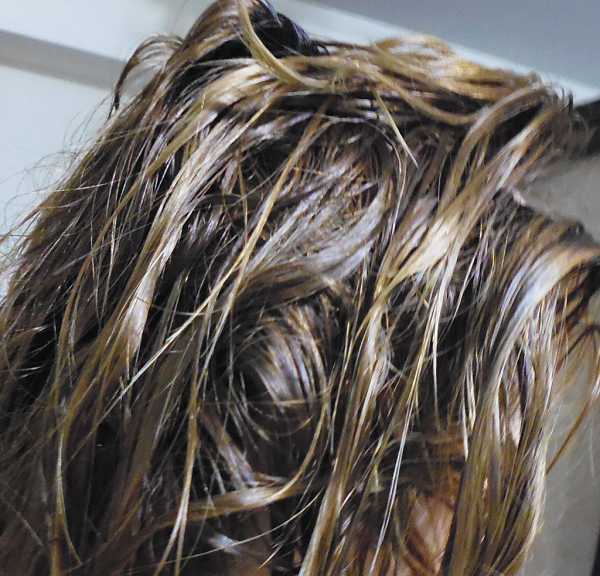 CosNature有機洗髮精