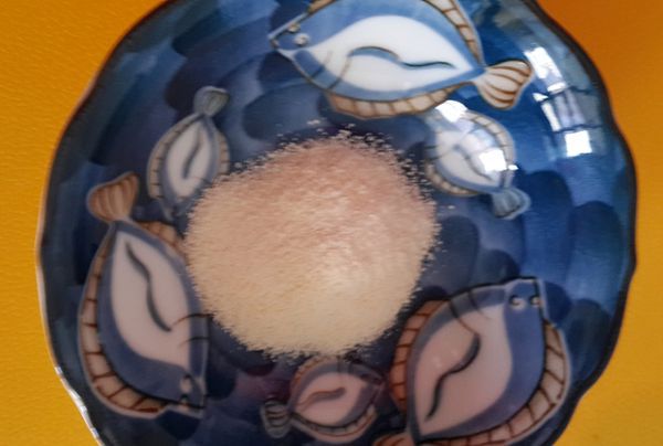 Angel LaLa天使娜拉 乳酸菌+乳果寡糖