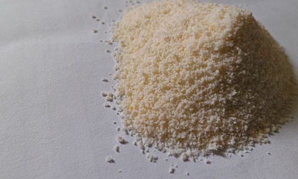 Angel LaLa天使娜拉 乳酸菌+乳果寡糖