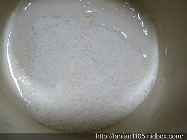 Angel LaLa天使娜拉 乳酸菌+乳果寡糖