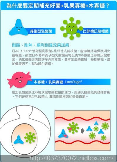 Angel LaLa天使娜拉 乳酸菌+乳果寡糖