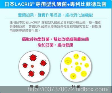 Angel LaLa天使娜拉 乳酸菌+乳果寡糖