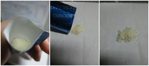 Angel LaLa天使娜拉 乳酸菌+乳果寡糖