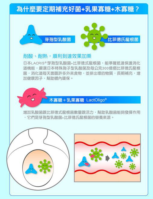 Angel LaLa天使娜拉 乳酸菌+乳果寡糖