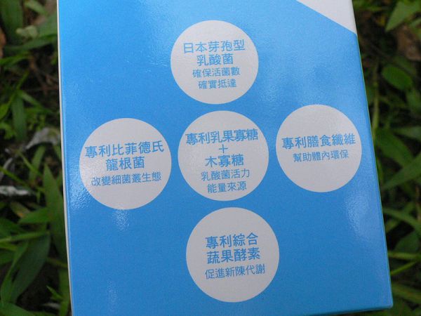 Angel LaLa天使娜拉 乳酸菌+乳果寡糖