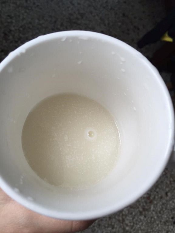 Angel LaLa天使娜拉 乳酸菌+乳果寡糖