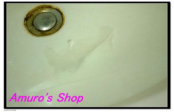 birthday多醣體纖維體膜