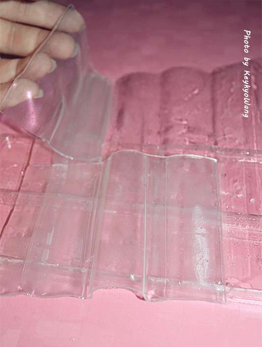 DSC_6937.JPG - 女人知已