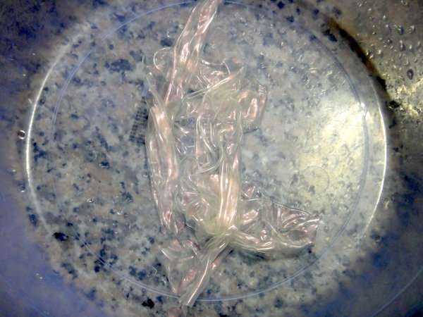 女人 知己 試用 大隊 chialo birthday 多醣體 纖維 體膜 王祚軒 醫生 推薦