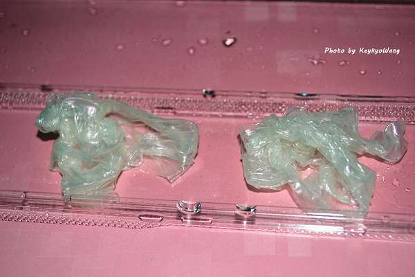 DSC_7075.JPG - 女人知已