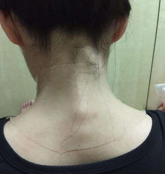 13479722_1188779207807150_1612942325_n