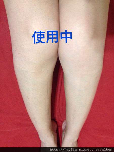 birthday多醣體纖維體膜