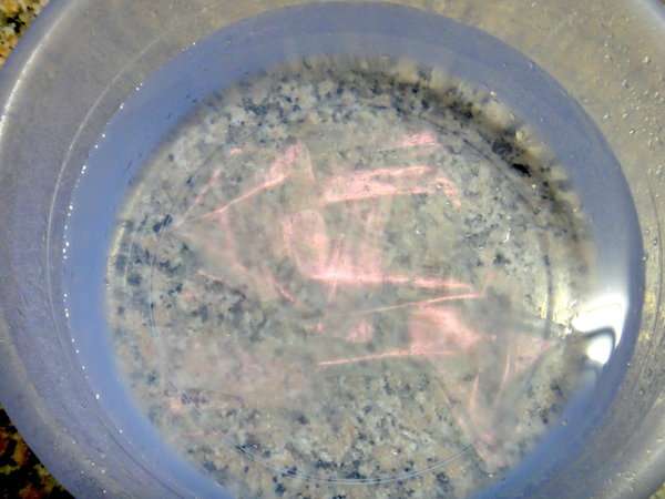 女人 知己 試用 大隊 chialo birthday 多醣體 纖維 體膜 王祚軒 醫生 推薦