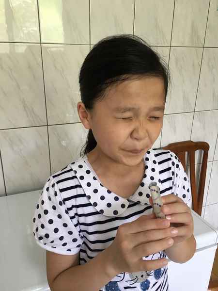 明奕蘆薈+木寡糖