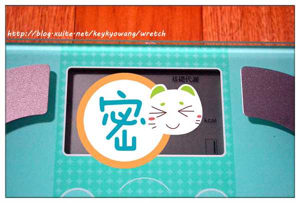 DSC_5391.JPG - 女人知已