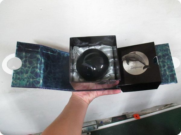 Dolphinus海洋修護霜