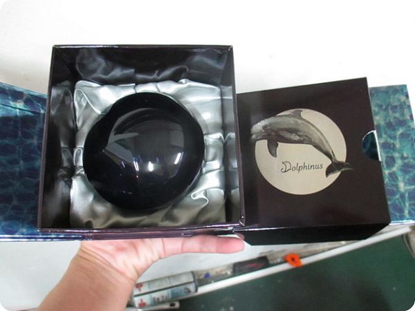 Dolphinus海洋修護霜