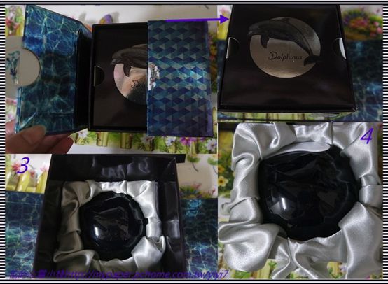 Dolphinus海洋修護霜