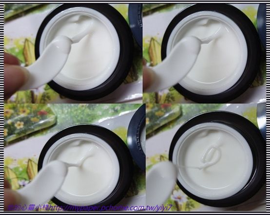 Dolphinus海洋修護霜