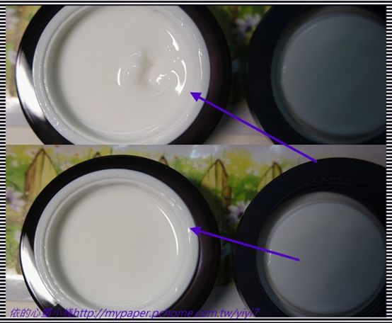 Dolphinus海洋修護霜