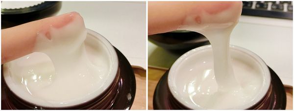 Dolphinus海洋修護霜