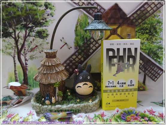 登賀生技運動龜鹿膠原凍