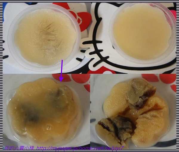 登賀生技運動龜鹿膠原凍