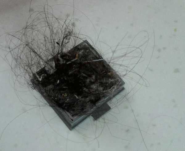 有樂紛Euleven吸塵除螨機