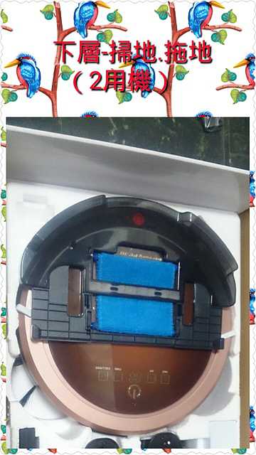 PhotoGrid_1477881879100.jpg - 11月