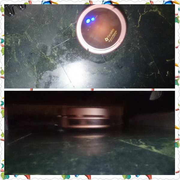 PhotoGrid_1477882778977.jpg - 11月