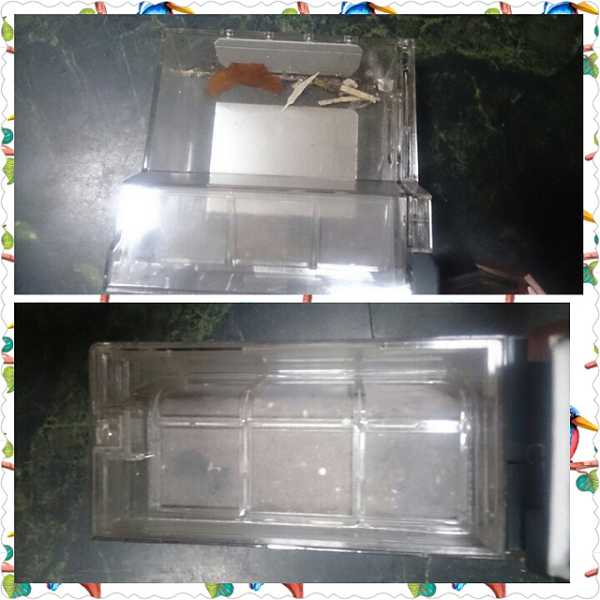 PhotoGrid_1477882549165.jpg - 11月