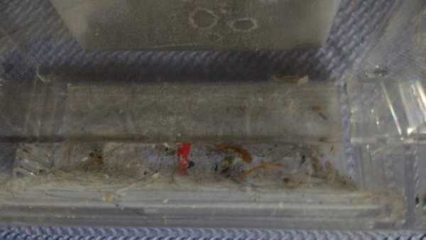 法拉第FARADAY3D潔淨機器人