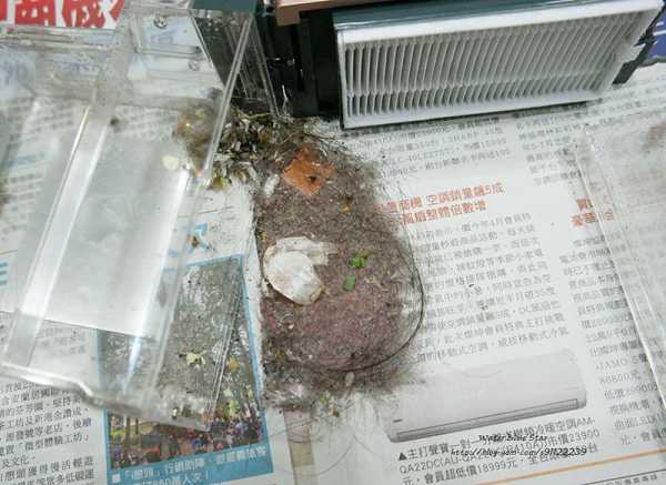 法拉第FARADAY3D潔淨機器人